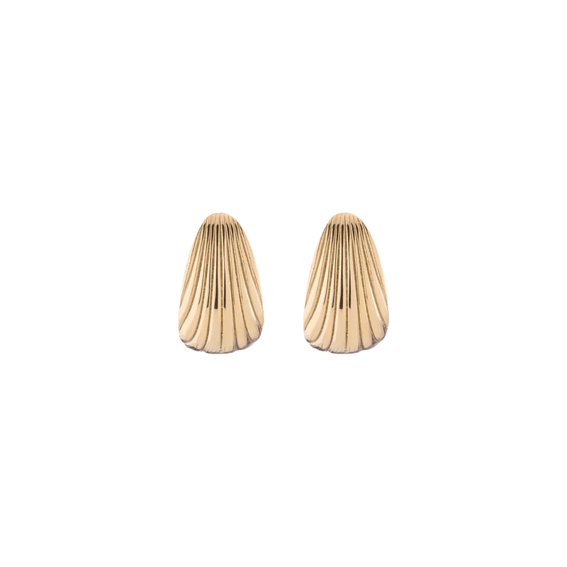 Shell Hinged Hoop Earrings