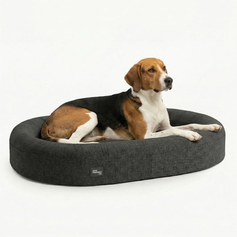 Medium Chill Pill Memory Foam Dog Bed