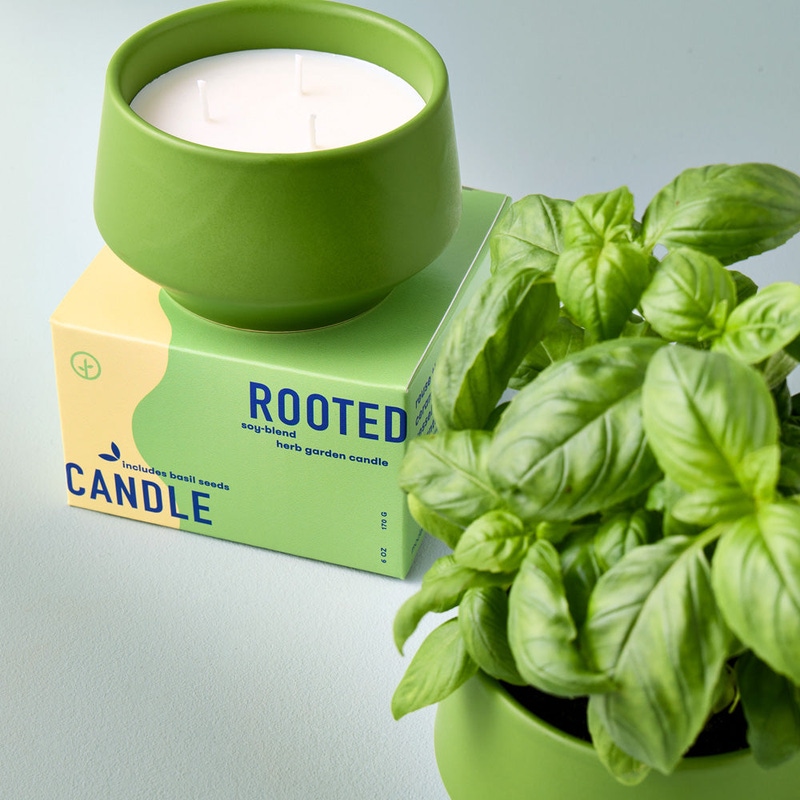 Rooted 3-Wick Candle
