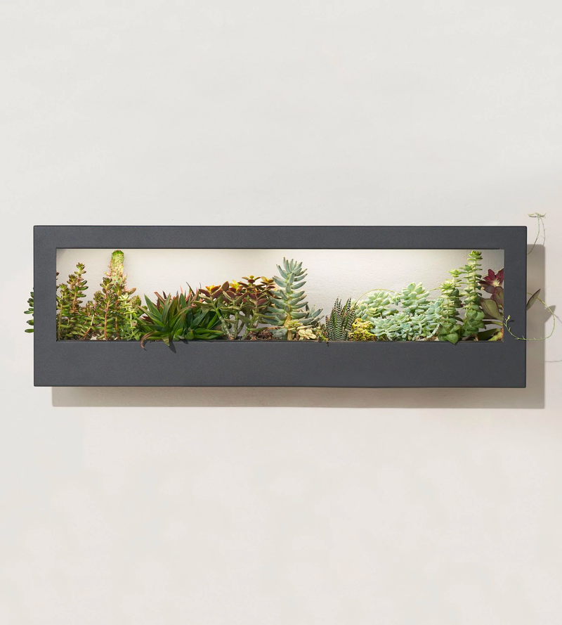 Smart Landscape Growframe