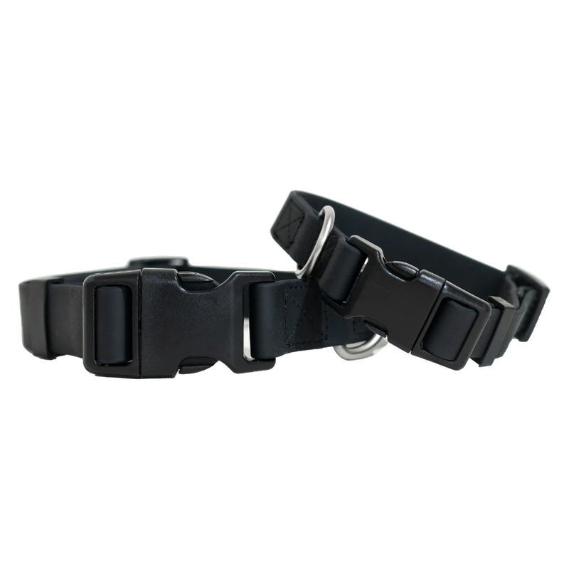 Medium Dog Collar | Black