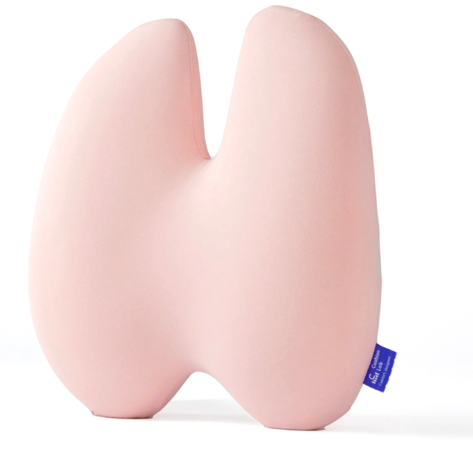 Back Relief Lumbar Pillow