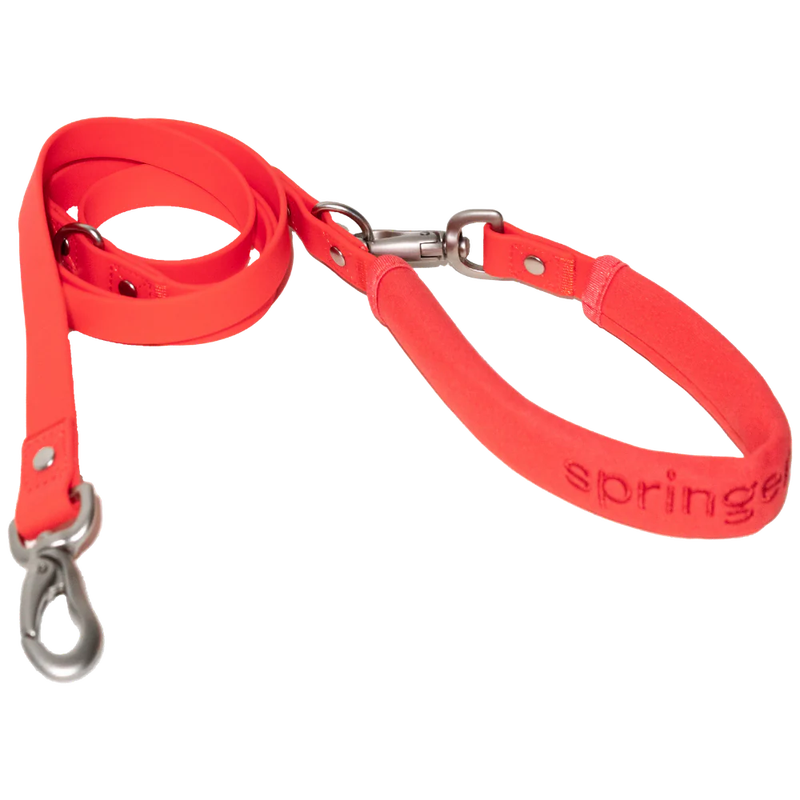 Dog Leash