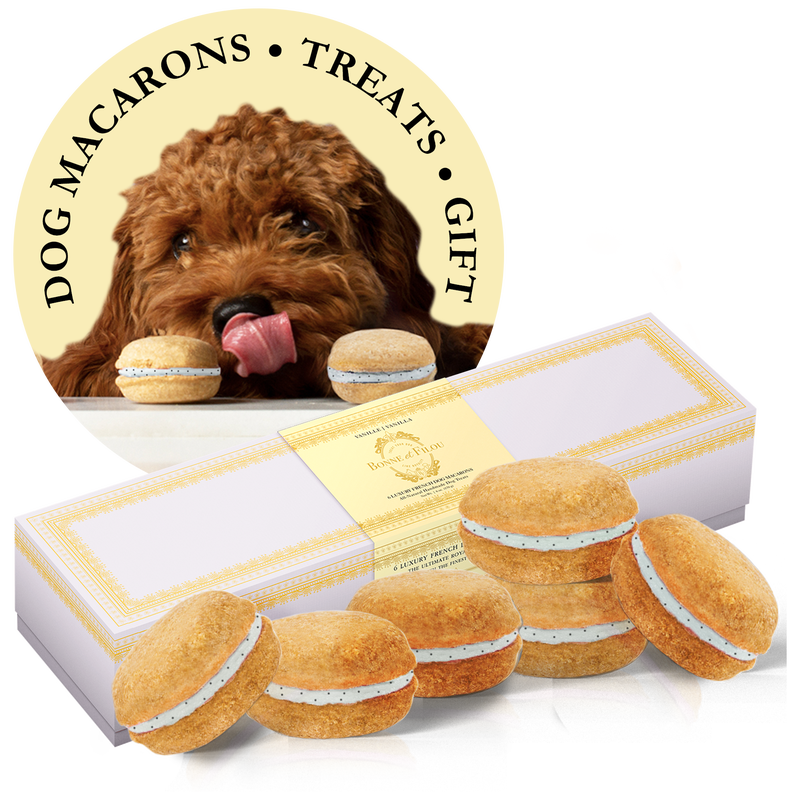 Box of 6 Dog Macarons