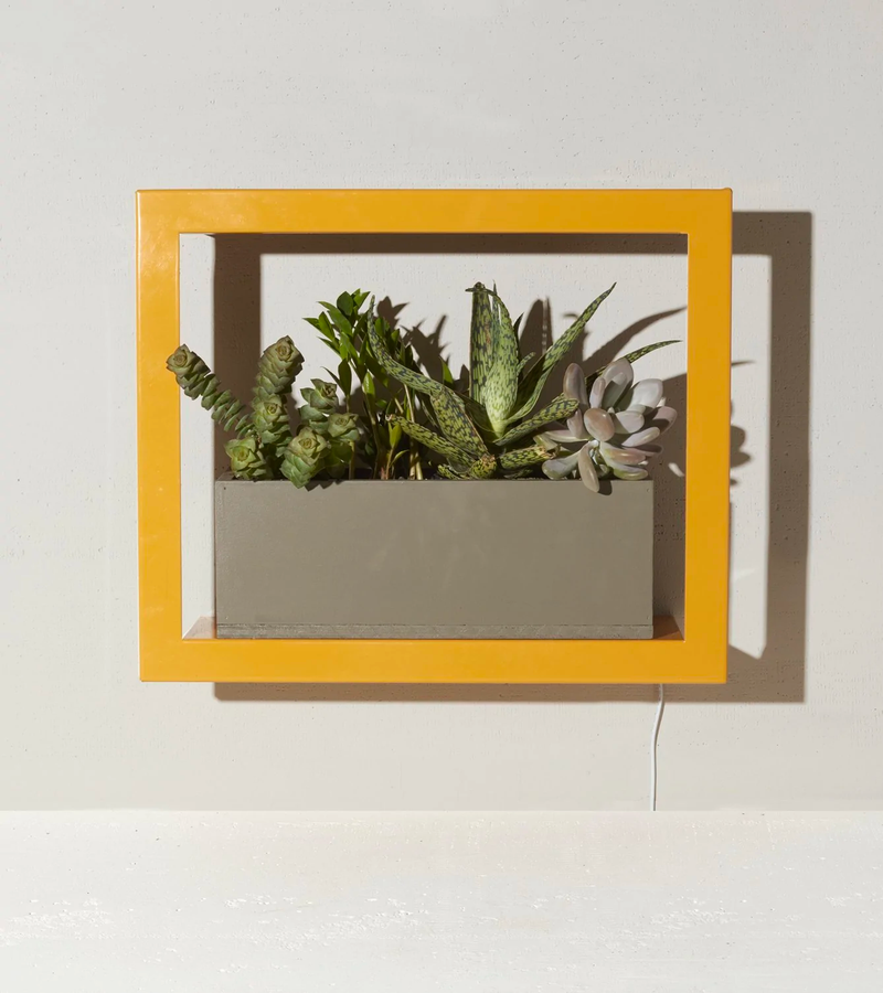 Smart Standard Growframe