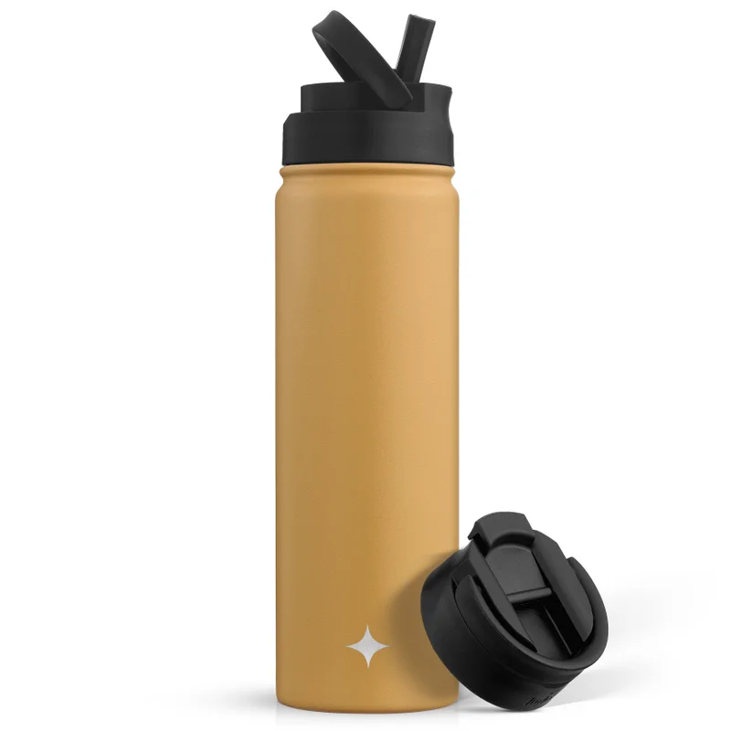 22oz Vacuum Insulated Water Bottle with Flip Lid & Sport Straw