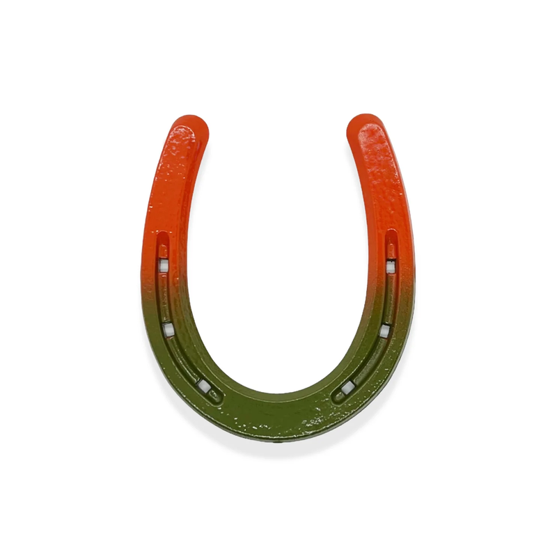 Colorful Painted Horseshoe