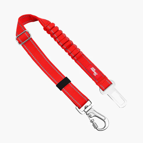 Dog Seat Belt