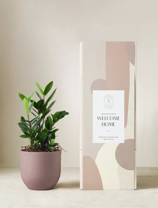 Welcome Home