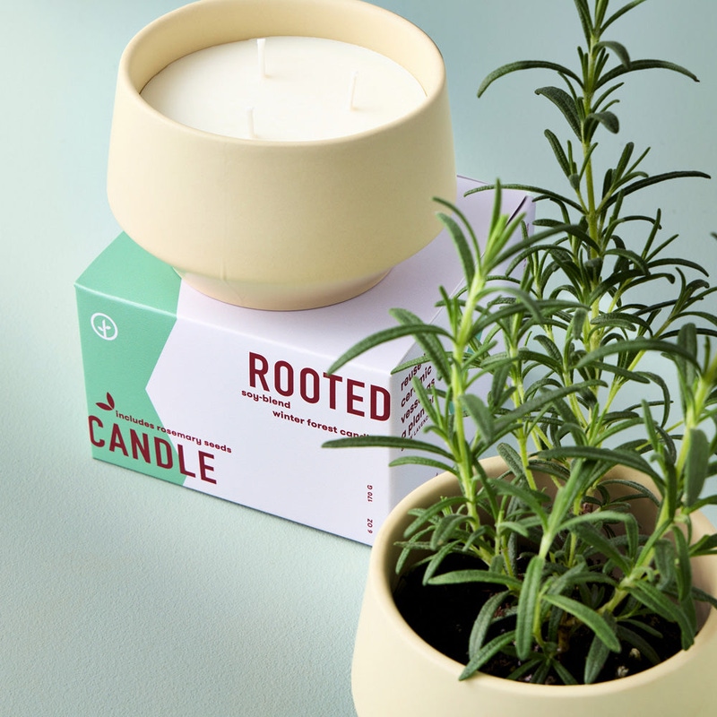 Rooted 3-Wick Candle