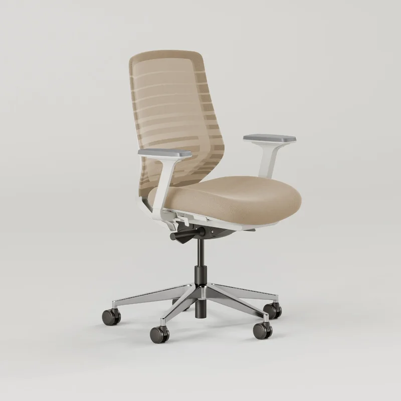 Ergonomic Chair