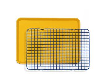 Mustard / Blueberry