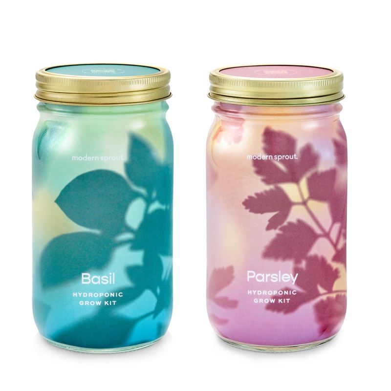 Herb Garden Jar 2-Pack