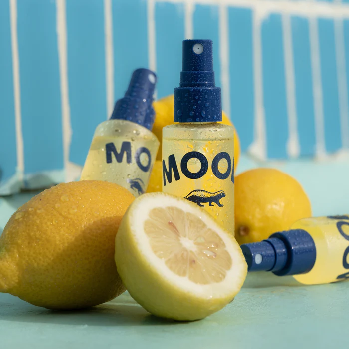 Travel Mood Water All Purpose Fragrance