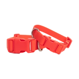 Extra Large Dog Collar