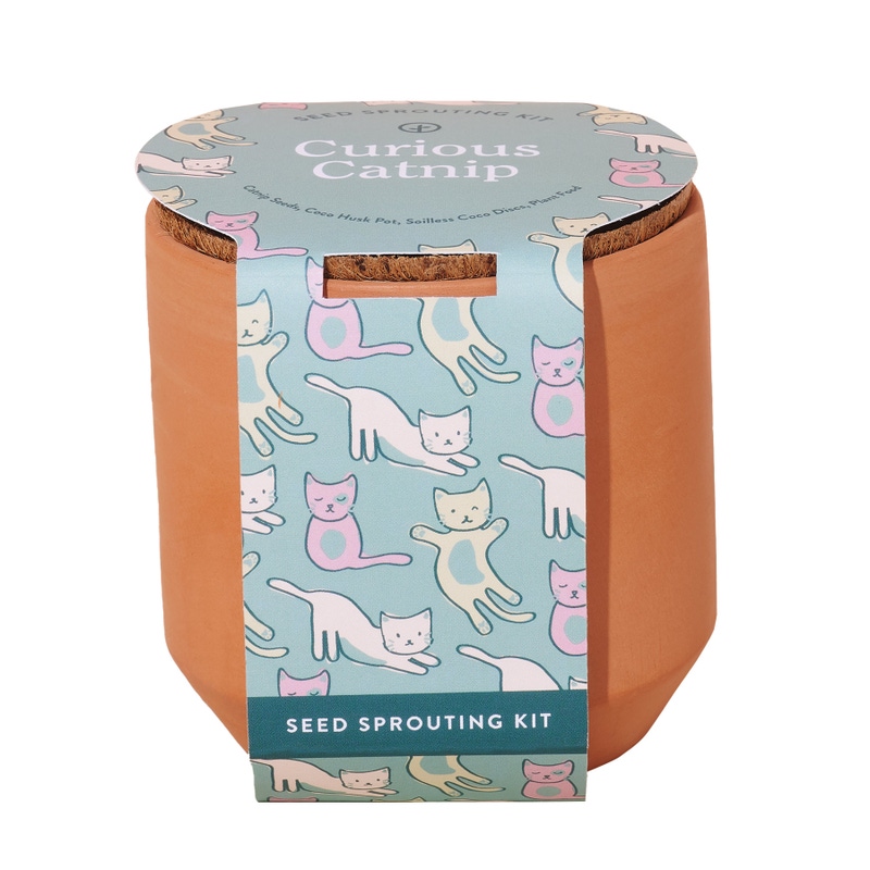Pet Tiny Terracotta Grow Kits | Curious Catnip