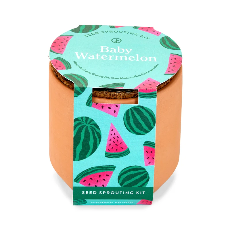 Tiny Terracotta Garden Kits