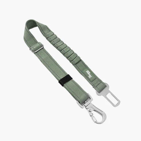 Dog Seat Belt