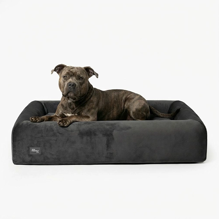 Medium Orthopedic Memory Foam Dog Bed | Charcoal