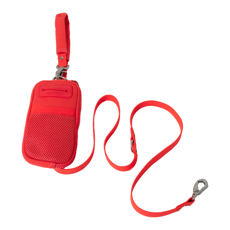 Walk Bag + Dog Leash