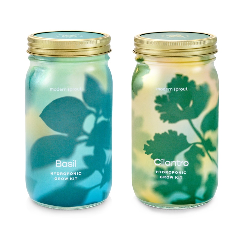Herb Garden Jar 2-Pack