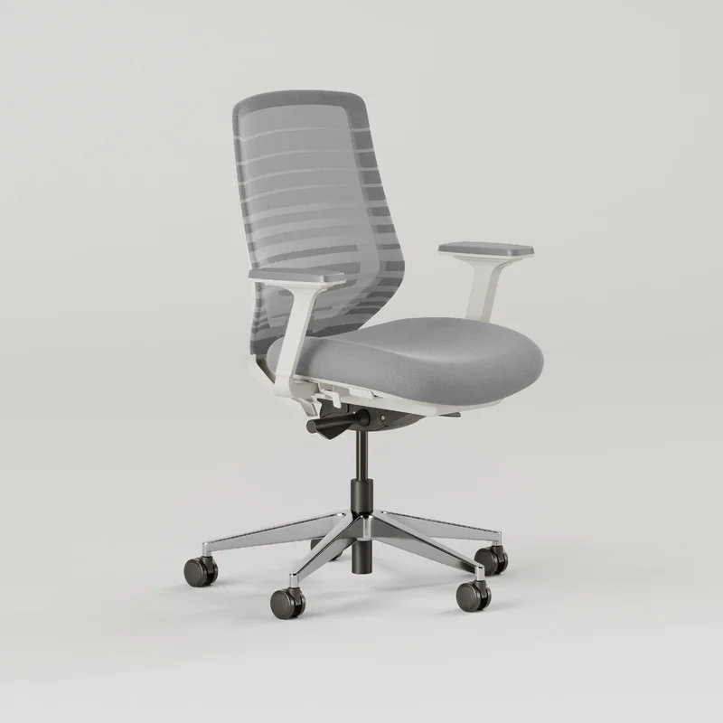 Ergonomic Chair