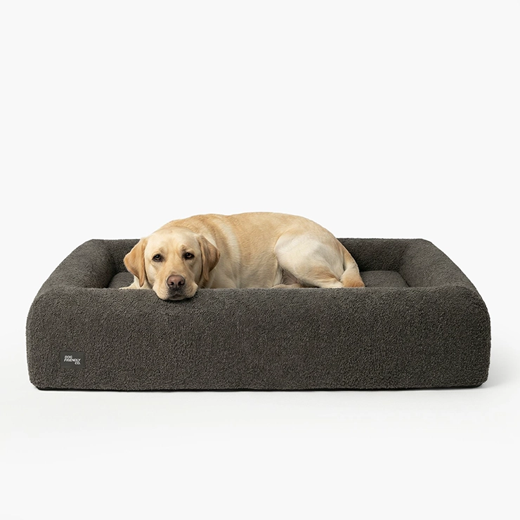 Large Orthopedic Memory Foam Dog Bed | Charcoal